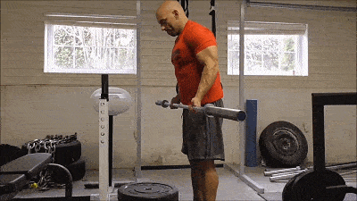 d029c3a31d9041fca1726bb69db371fb.gif