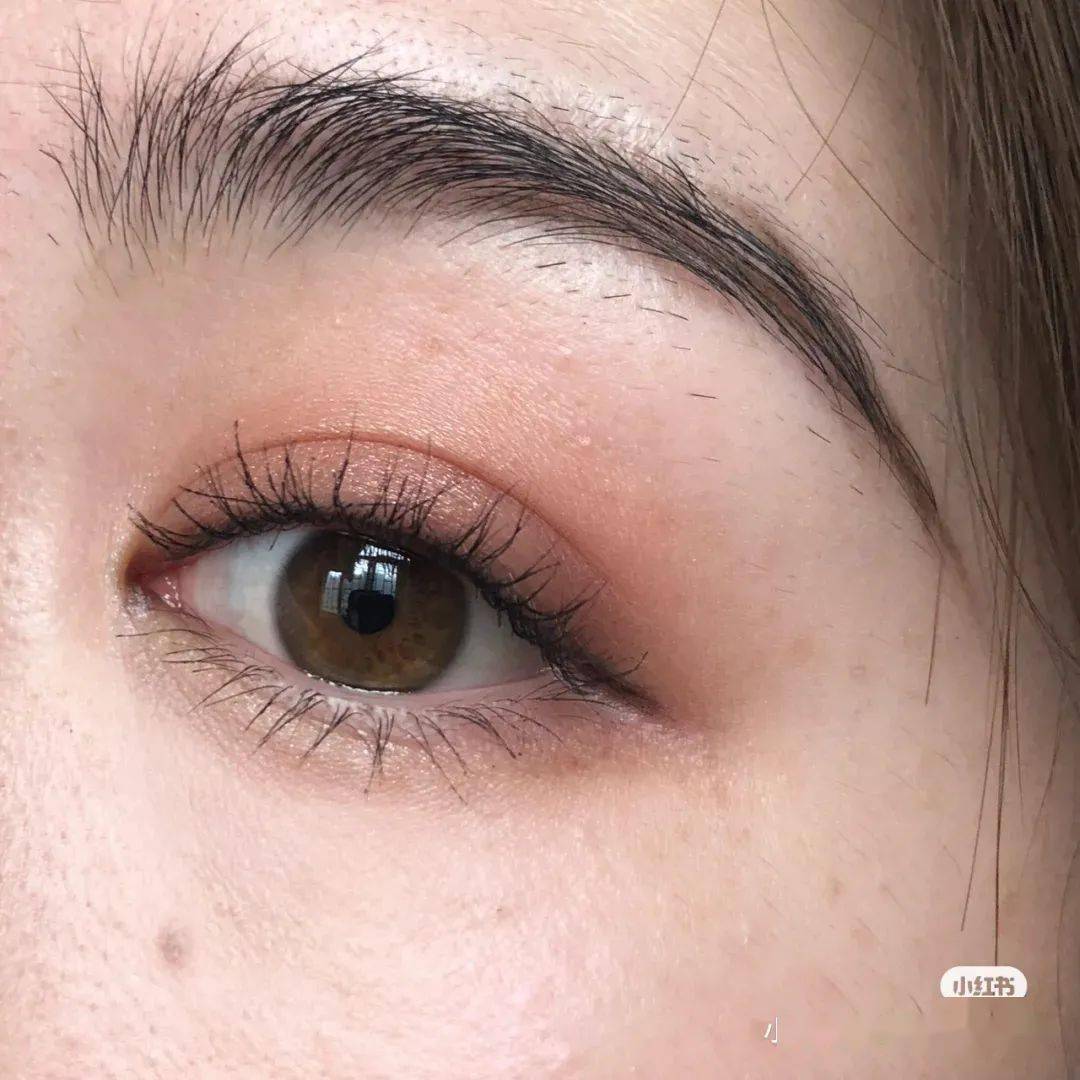 日记|完美日记，你个小辣鸡