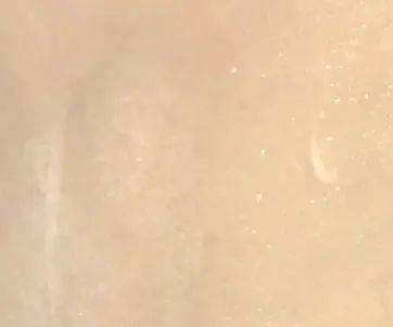 有料|火了一百多年的科颜氏，比你想象的更有料！