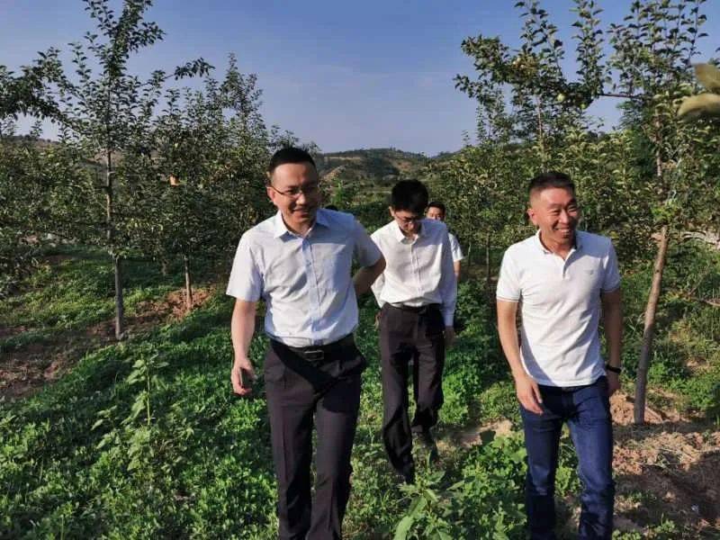 子长市经济总量_子长市图片