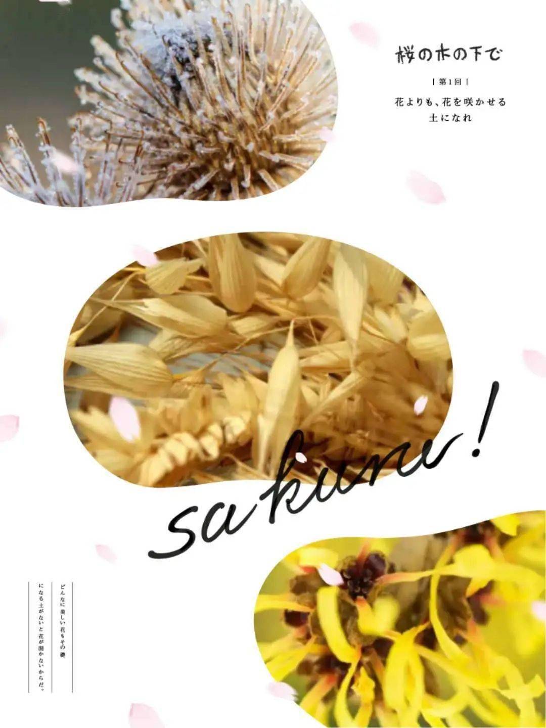 肌肤|皮肤油腻的元凶竟是它！补水保湿，99%的人用错了！