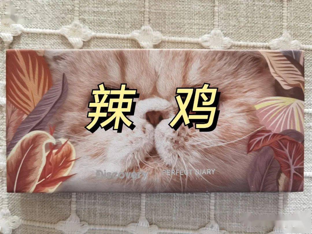 日记|完美日记，你个小辣鸡