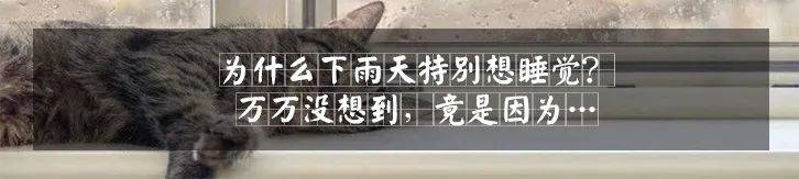 认证|教育部公布159个师范类专业！想读师范的同学快看