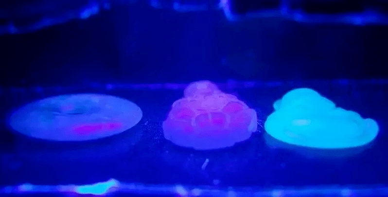 珠宝|杨杨：珠宝加荧光剂，戴久了毁容？业内潜规则，被我揭露了…