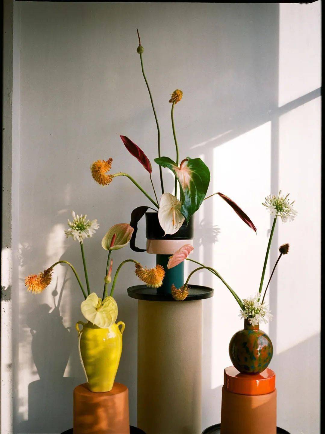 Helle|“长得这么好看，花瓶就花瓶吧”