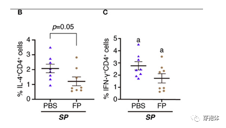 吃什么食物有助于降心率 203affb902b34a9386ae870211d5ecb6.png