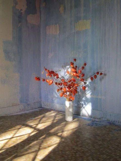 Helle|“长得这么好看，花瓶就花瓶吧”