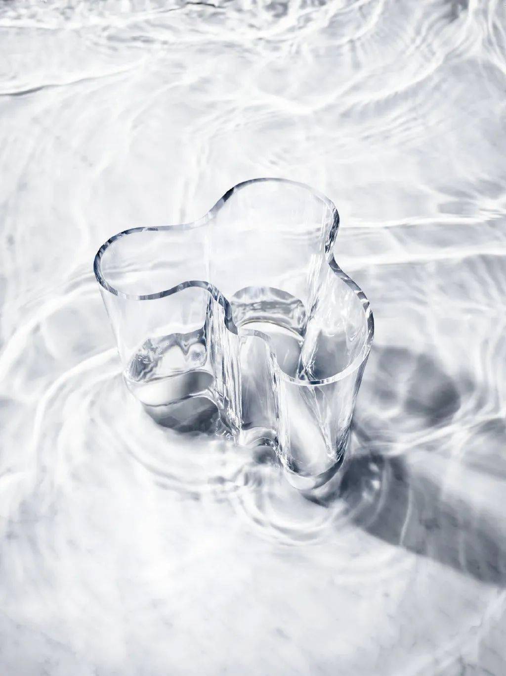 Helle|“长得这么好看，花瓶就花瓶吧”