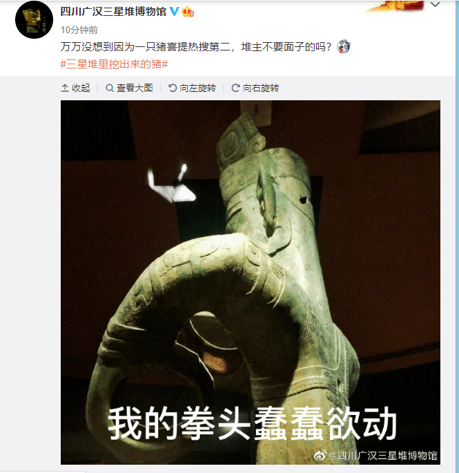 遗址|愤怒的小鸟猪,别装了!这只3200年前的猪一出土就冲上热搜