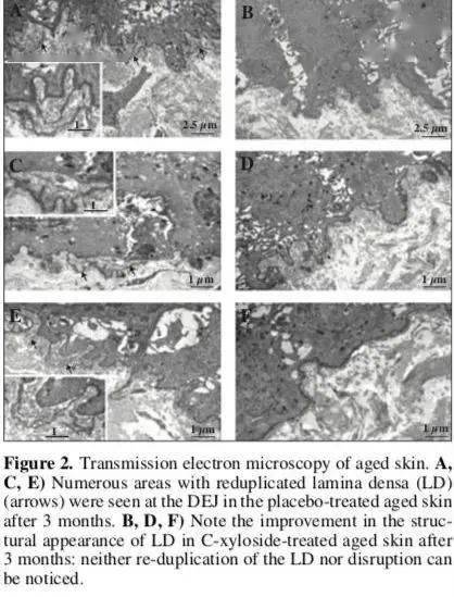 镜头|无滤镜镜头还能这么美，她凭啥能艳压半个娱乐圈？
