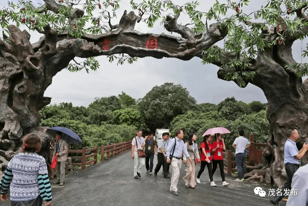 根子贡园位于高州市根子镇柏桥村,是茂名现存最古老的荔园,至今已有二