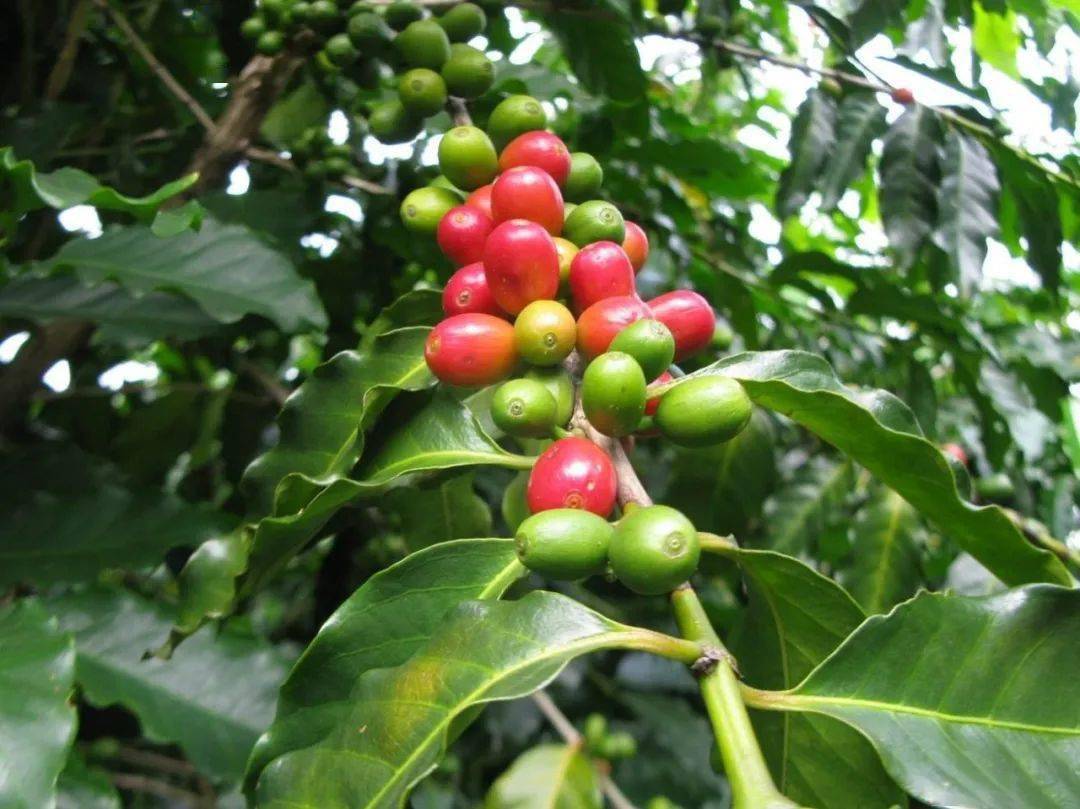 皮肤|想知道如何让肌肤常驻18岁吗？想知道明星三四十岁依然拥有靓丽肌肤吗？点进来我告诉你