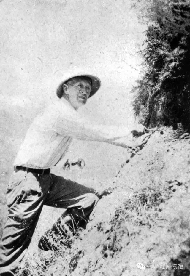 遗址|愤怒的小鸟猪,别装了!这只3200年前的猪一出土就冲上热搜