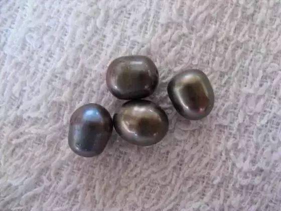 珍珠|这些世间罕见的珍珠，你拿着钱都买不到！