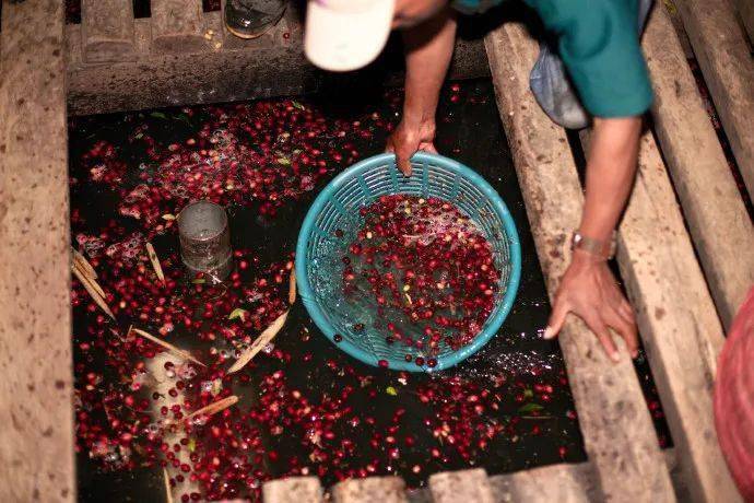 皮肤|想知道如何让肌肤常驻18岁吗？想知道明星三四十岁依然拥有靓丽肌肤吗？点进来我告诉你