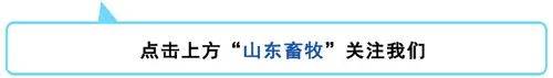 山东省|第30周山东省畜产品市场行情分析