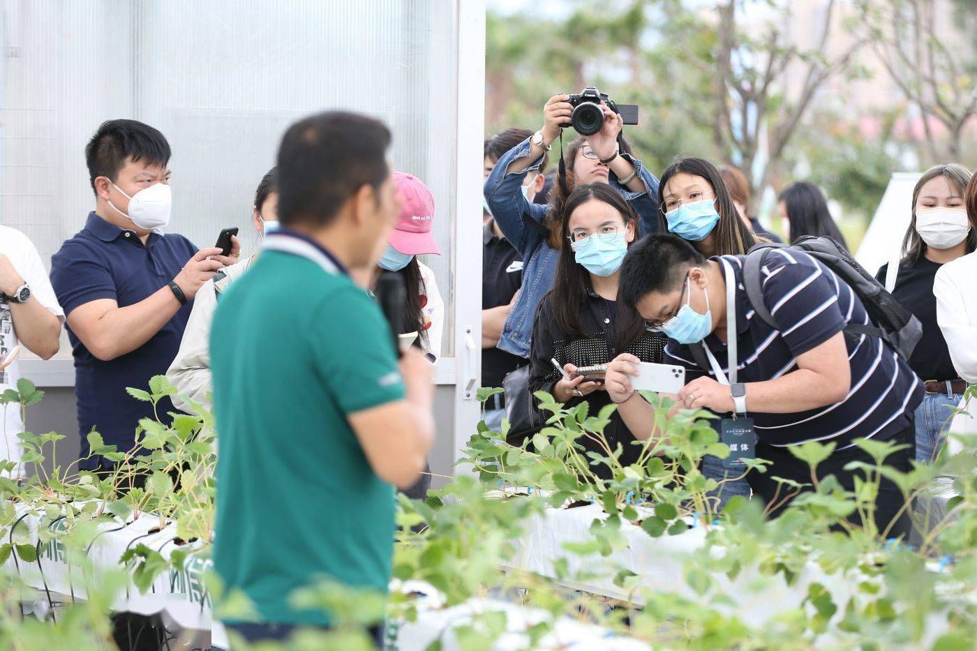 AI種植PK傳統農人  拼多多撒網數字農業 科技 第3張