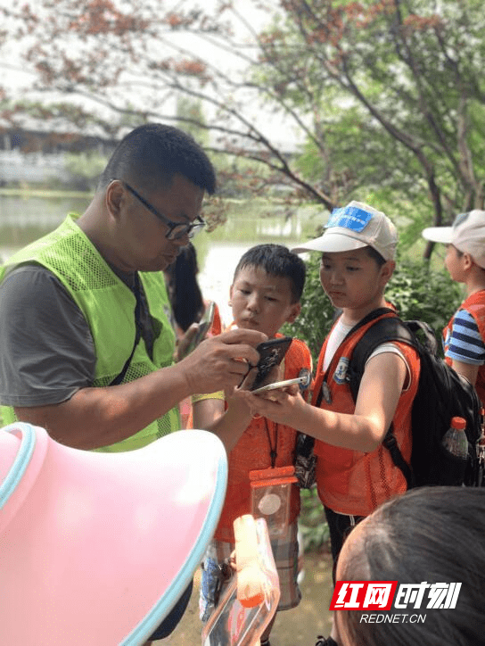 山在|【野羚羊成长记3】穿石坡湖：山在湖心如黛簇，沉醉青山不知归