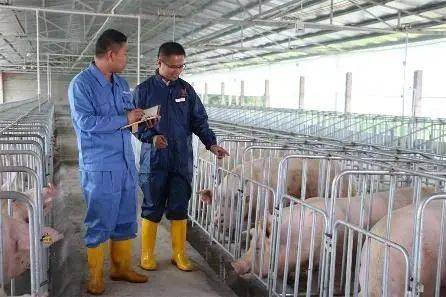 农学|农学，真的是劝退专业吗？