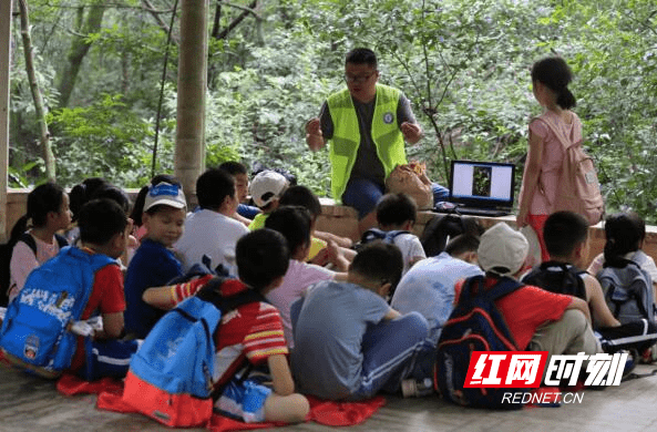 山在|【野羚羊成长记3】穿石坡湖：山在湖心如黛簇，沉醉青山不知归