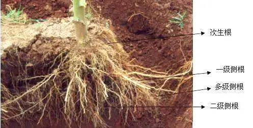 农学|农学，真的是劝退专业吗？