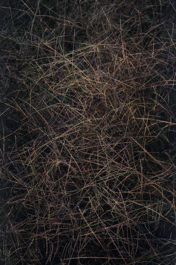 展览|最新展览丨它山之石——封岩当代摄影展