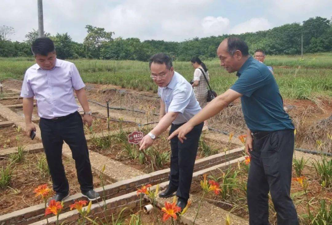 上应大党委书记郭庆松带队赴湖南省衡阳市考察调研推进校市合作