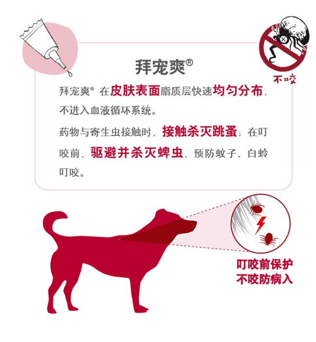 蜱虫怎么治最有效 ff185c21efd3480194941406d17b11d2.png