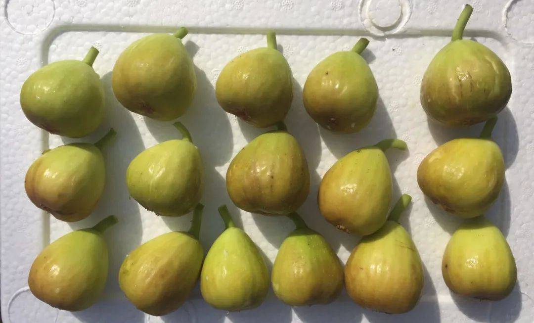 青岛市|即墨区总工会专场！周六晚19：30开播！青岛市总工会“惠工助企”直播团购会第二十期！