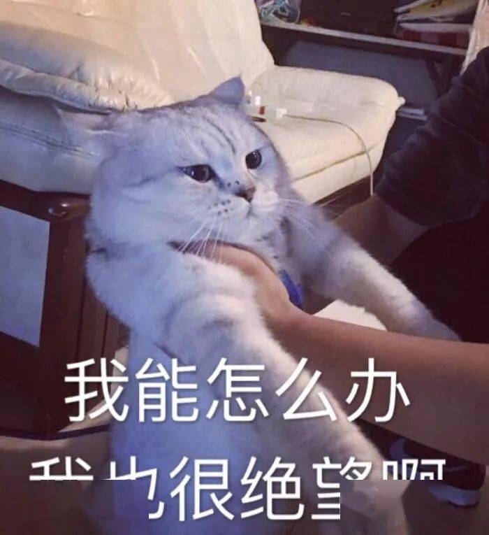 娃哈哈|◇ 娃哈哈开奶茶店、元气森林联名螺蛳粉、喜茶与茶颜悦色合体，这些品牌也太会玩了吧！