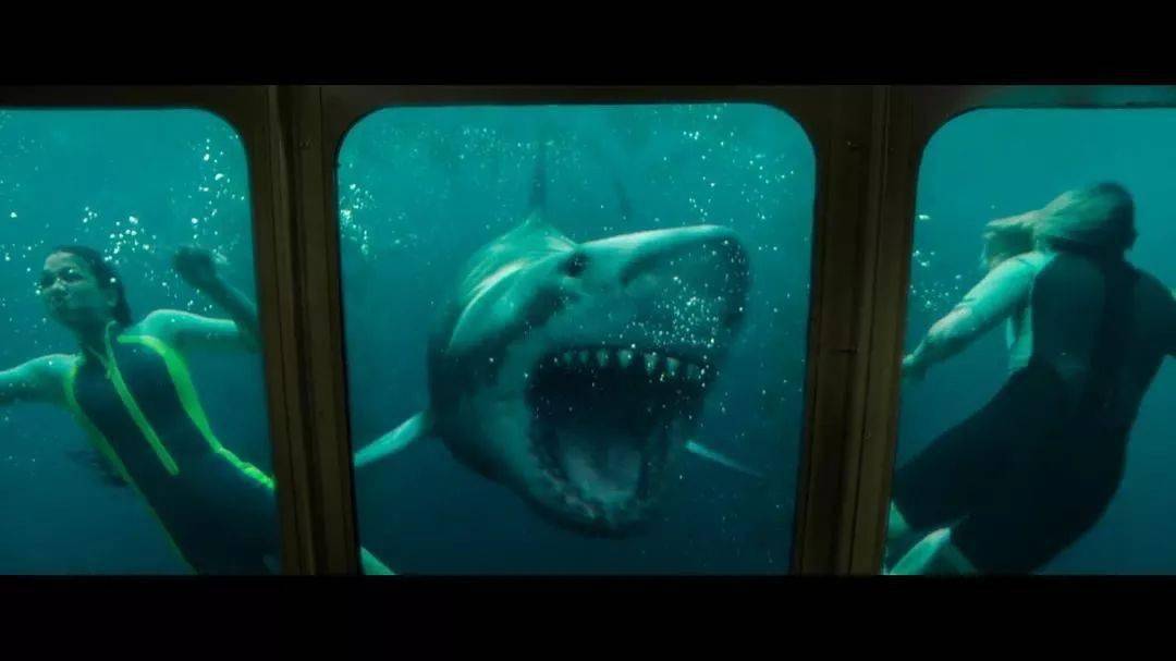 鲨海逃生水下秘境暗藏鲨机