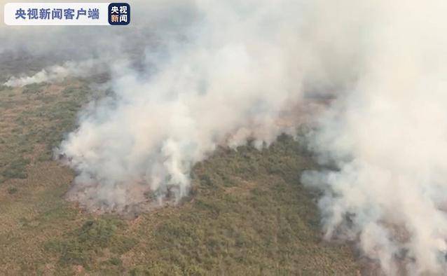 大火|巴西大火燃烧10天仍未熄灭 过火面积达4万公顷