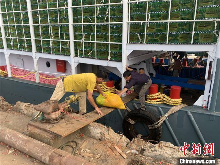 民众|浙江第一批渔船“解禁”出海 “虾兵蟹将”重回民众餐桌
