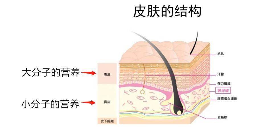 救星|这款PS级的“烂脸救星”，让我抛弃了SKII的“前男友面膜”！
