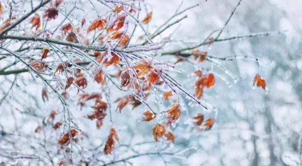 通知书|久等了！湖南大学录取通知书请查收！
