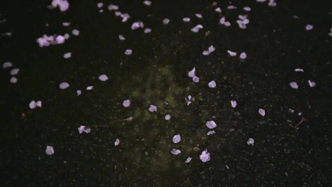 武汉|纪录片 | “蓝盒子”之外，武汉的ICU里还有红黄白