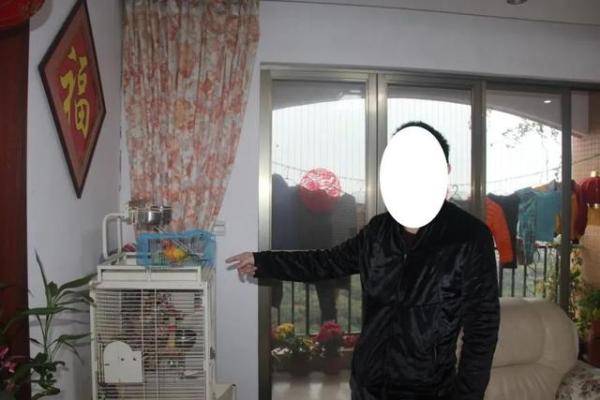 增城|买鹦鹉当宠物？当心犯法！