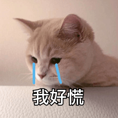 高考|他们的反应太真实了......嗷嗷哭！先大笑后大哭！查到分数瞬间