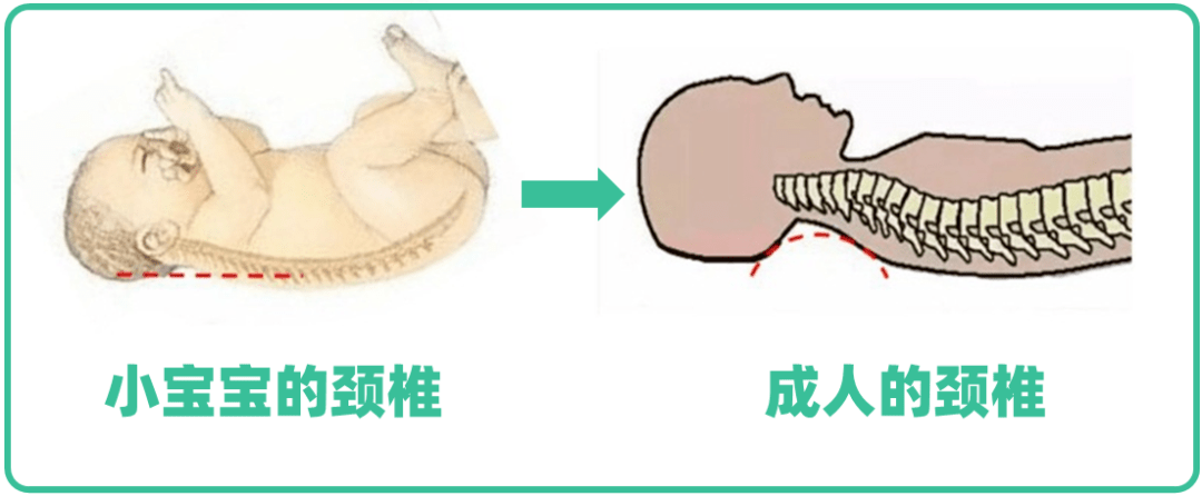 早于这个时间,可能伤害颈椎!