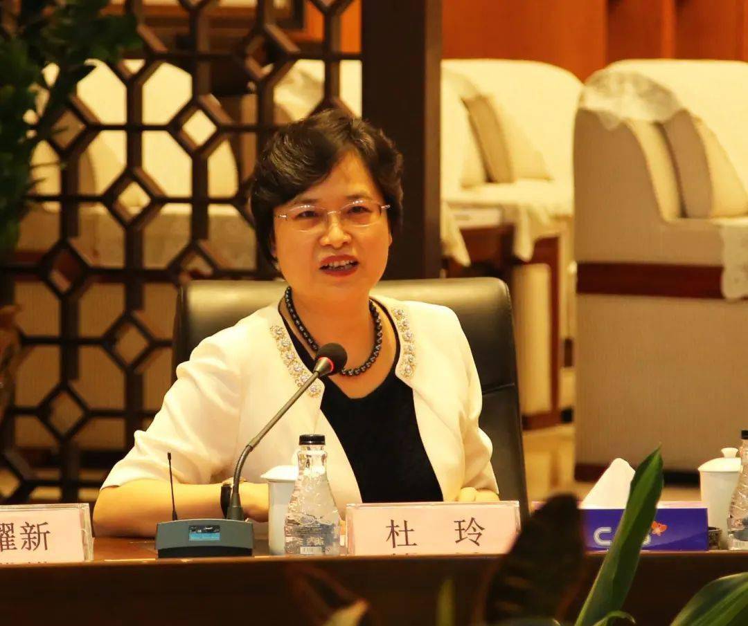 梅州妹杜玲卸任龙华区委书记丨曾是深圳第一位女区长