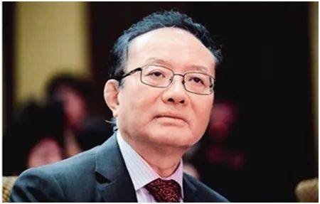 专访商务部原副部长魏建国：国内大循环为主不