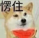 天王|干啥啥不行,只是嫁了天王好老公?