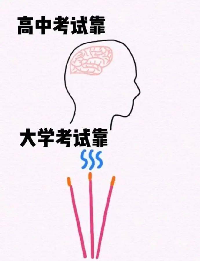 区别|高中和大学的真实区别？太真实了~