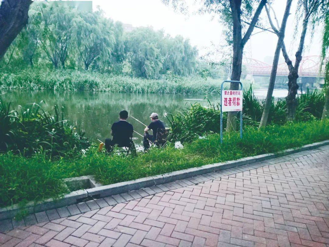 市民随手拍!曝光不文明!记者版(三)