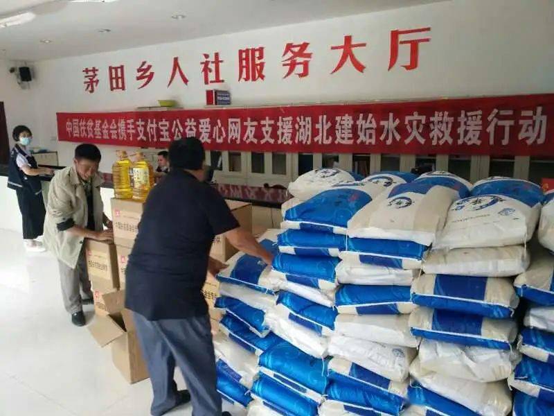 建始人口数_建始槭图片(2)