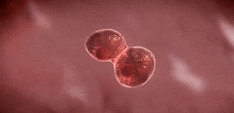 皱纹|抗皱抗衰老还在打针?用它赶走三八脸、鱼尾纹,让小朋友见到你都喊姐姐!