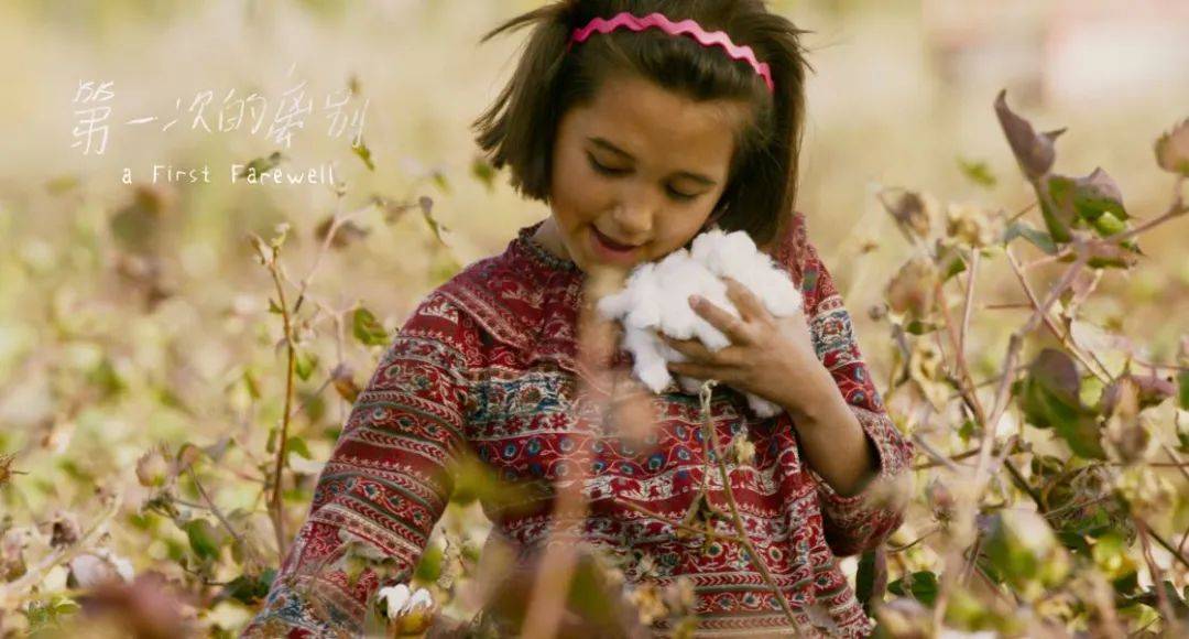 艾萨|她画下了火车，房子，所有不舍的东西，唯独没敢和艾萨告别