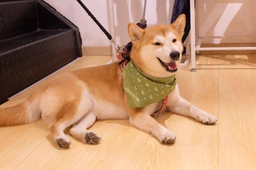 胶带|手账er快来！文具的美好都藏在四惠这家文具店里了~