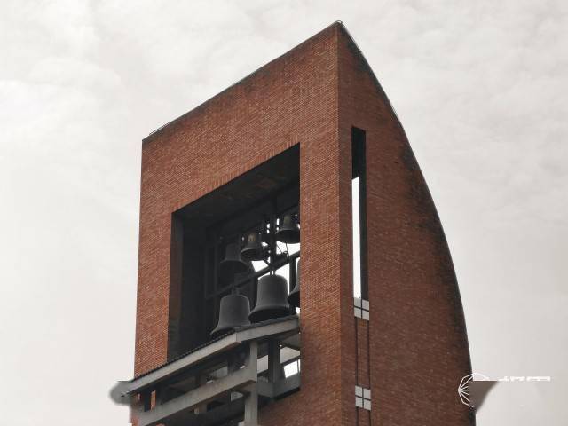 vivo|vivo最强拍照旗舰体验！你与好照片只差一台X50 Pro＋