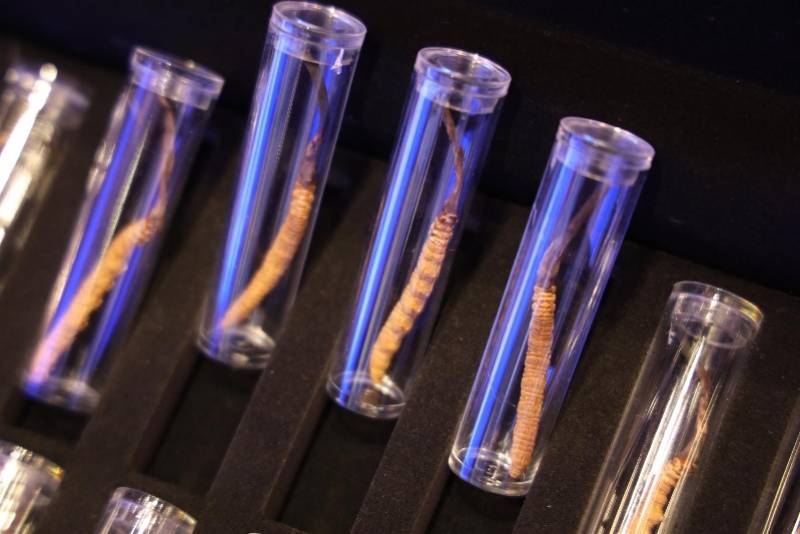 灵芝|广东对口支援西藏林芝，智力援藏产业援藏等四批项目完成签约